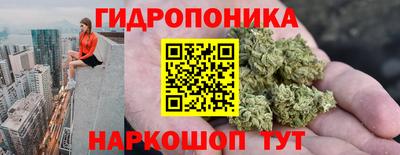 прущие грибы Донецк