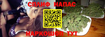прущие грибы Донецк