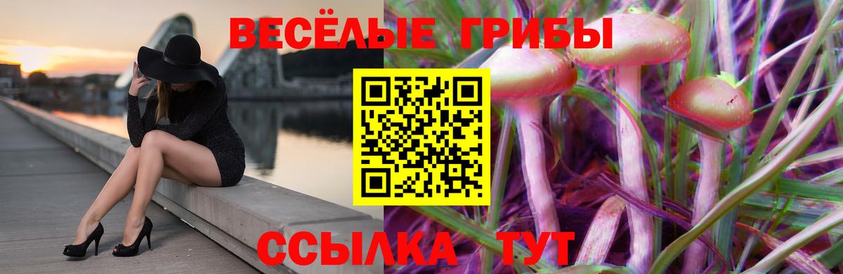 Галлюциногенные грибы GOLDEN TEACHER  Псилоцибиновые грибы мухоморы  Вход с VPN  Мариинск 